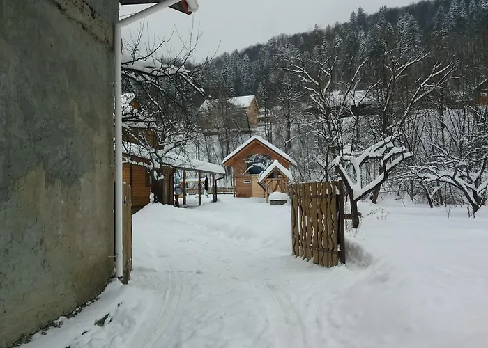 Daire у любчика *